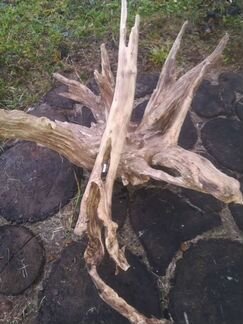 Корни декор