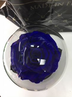 Роза в колбе Синяя аквамарин