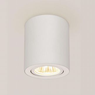 Светильник накладной Citilux Дюрен CL538111 поворотный Белый