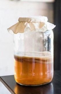 Чайный Гриб - Комбуча