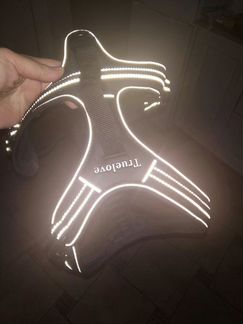 Шлейка для собак Truelove