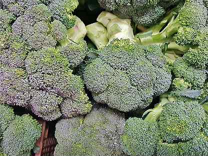 Brócoli engorda