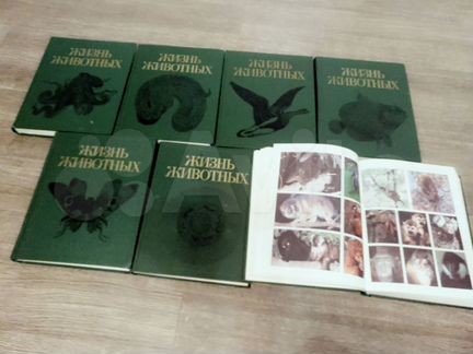 Энциклопедия животного мира